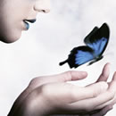 fairy_butterfly.jpg