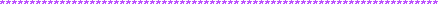 purpledivide.gif